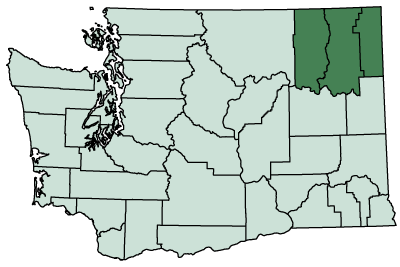 Serving Stevens, Ferry, and Pend Oreille counties